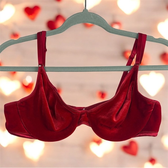 Warner's Other - VTG Warner's "a little velvet" Red Velvet
Bra 36C No Padding - Very soft!